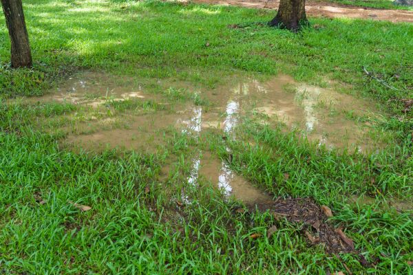 Cost of Storm Water Drainage Service in Gallatin