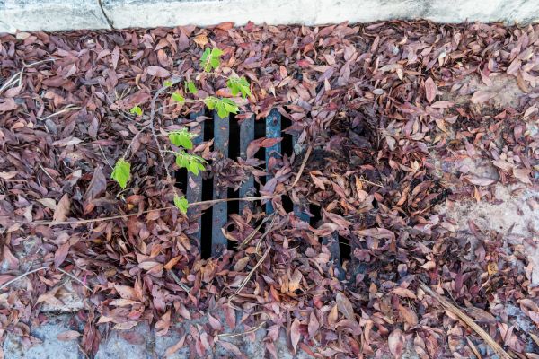 Cost of Yard Drain Unclogging in Gallatin