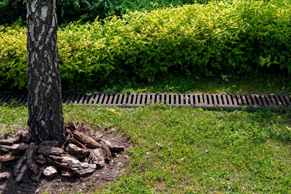 Wet Yard Drainage in Gallatin