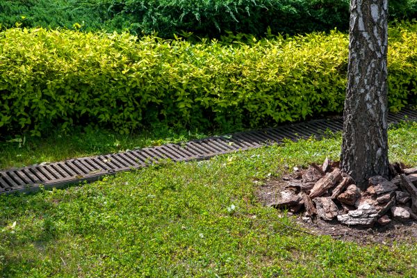 Residential Landscape Drainage in Gallatin