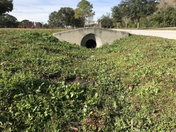 Swale Drainage Service in Gallatin