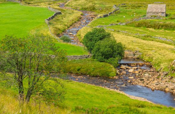 Swale Repair in Gallatin